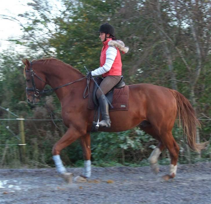 DET RØDE LYN billede 8