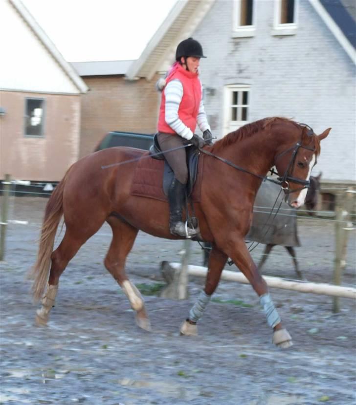 DET RØDE LYN billede 9