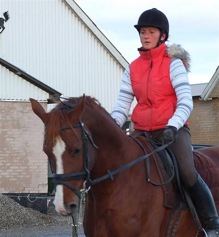 DET RØDE LYN billede 10