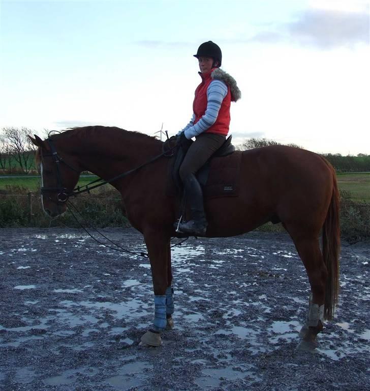 DET RØDE LYN billede 11