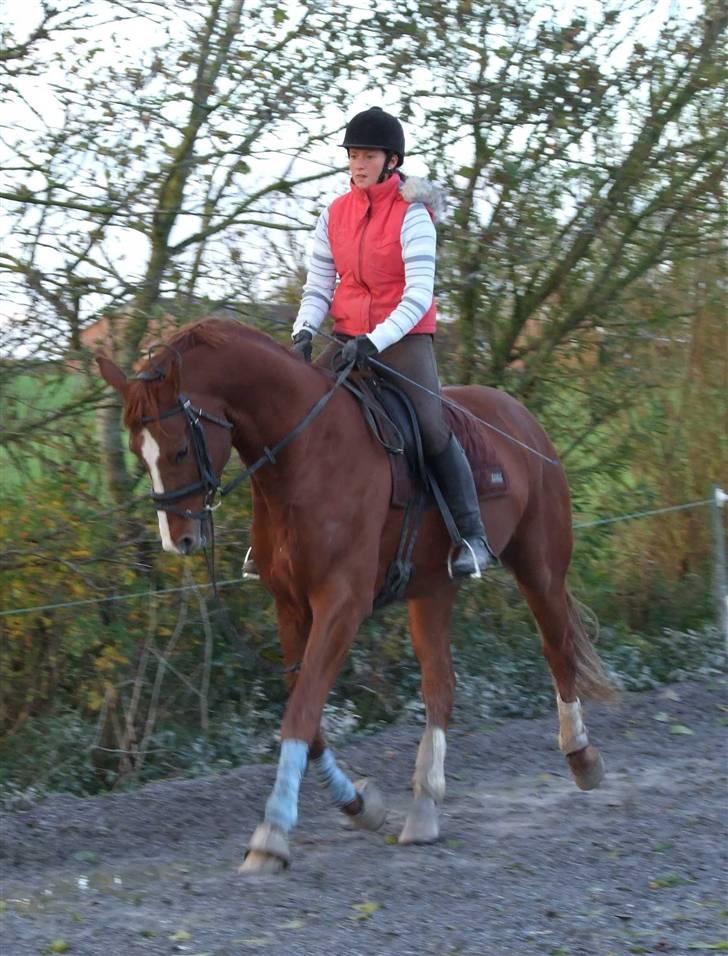 DET RØDE LYN billede 12