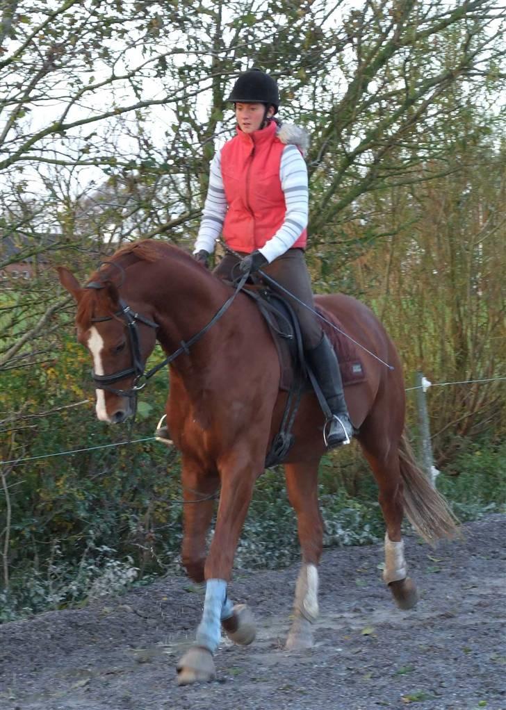 DET RØDE LYN billede 13