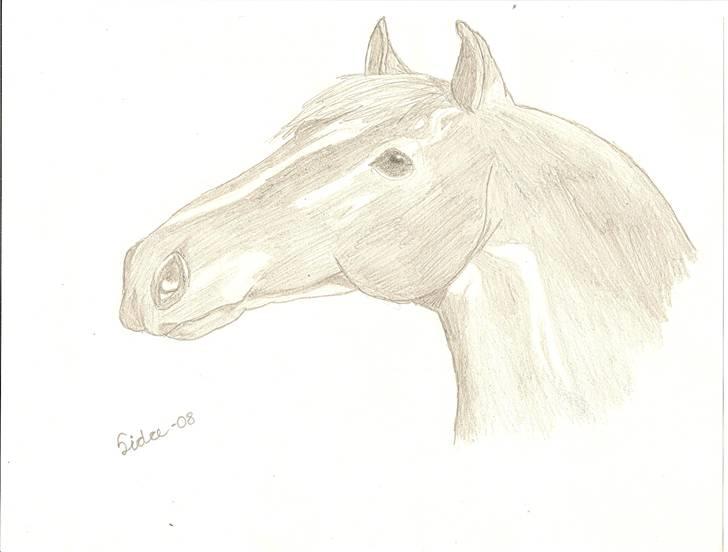 Tegninger(se dem) - En tilfældig hingst. billede 1