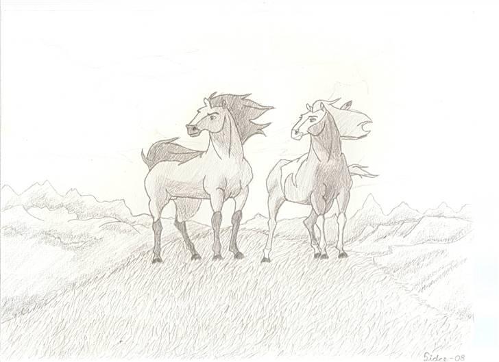 Tegninger(se dem) - En spirit tegning til en lille fan jeg kender. billede 5