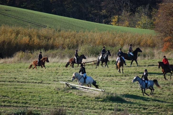 Hubertusjagt på rugård slot 2/11-2008 billede 4