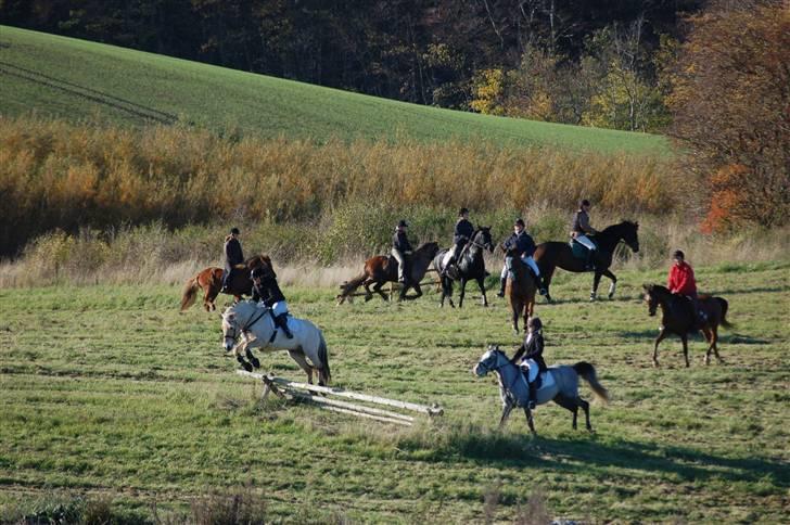 Hubertusjagt på rugård slot 2/11-2008 billede 5