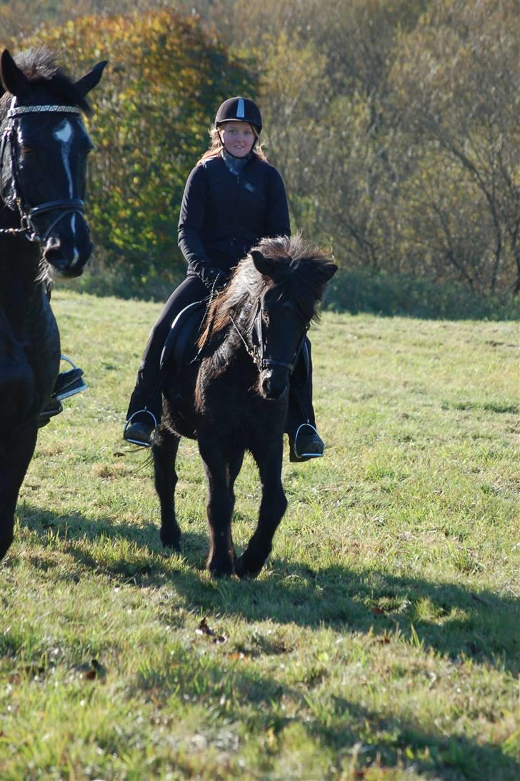 Hubertusjagt på rugård slot 2/11-2008 billede 7