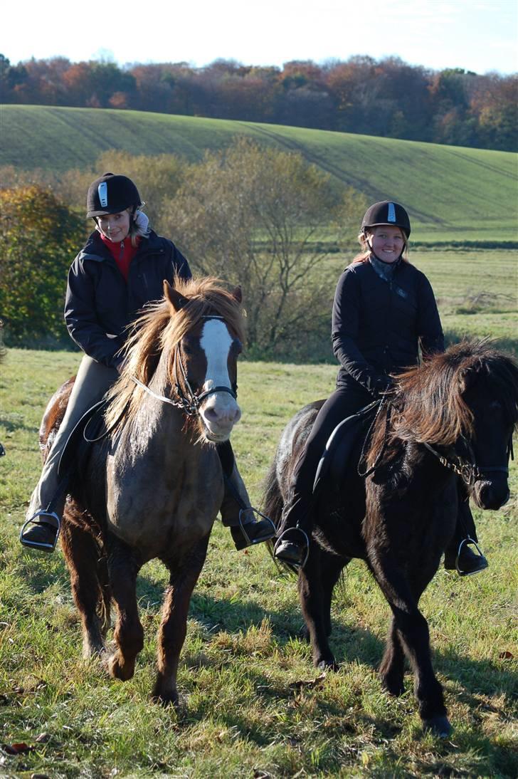 Hubertusjagt på rugård slot 2/11-2008 billede 8