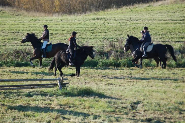 Hubertusjagt på rugård slot 2/11-2008 billede 12