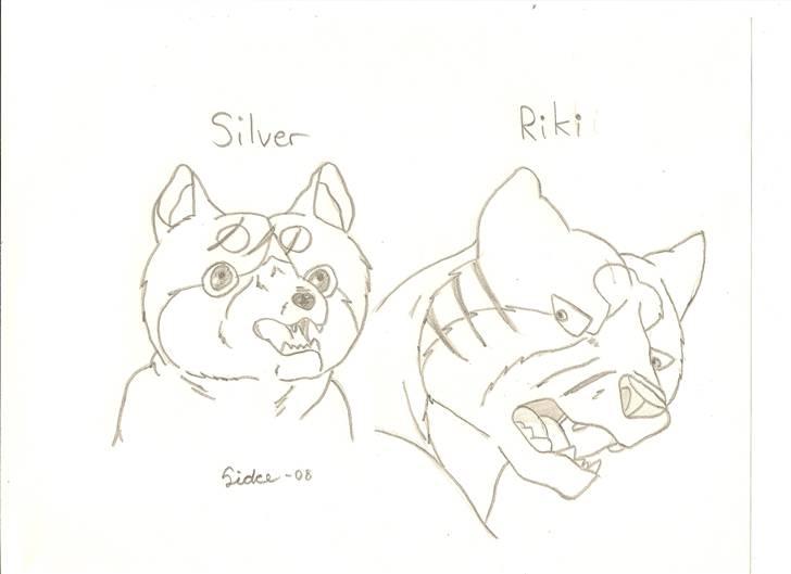 Tegninger(se dem) billede 16