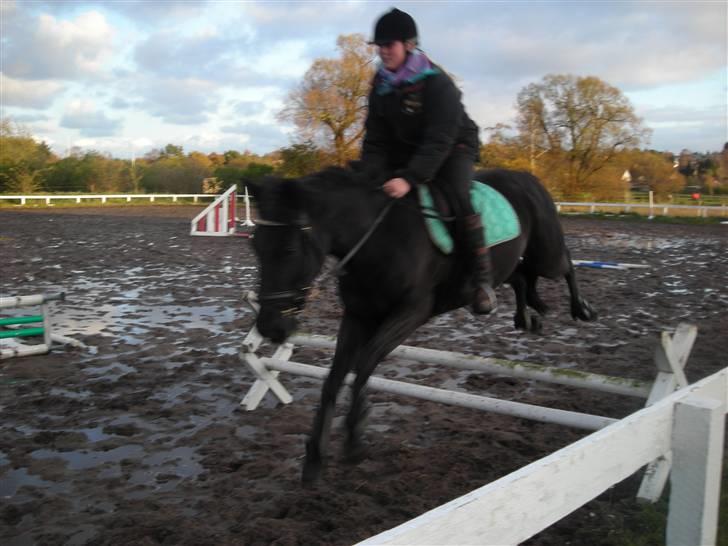 Stormy og Maxi billede 1