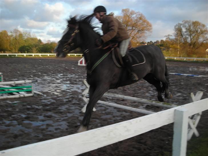 Stormy og Maxi billede 2