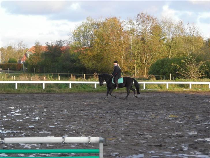 Stormy og Maxi billede 3