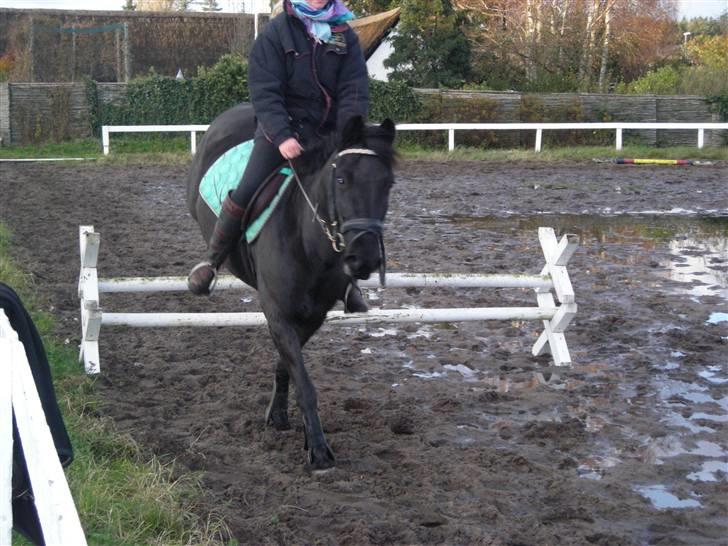 Stormy og Maxi billede 5