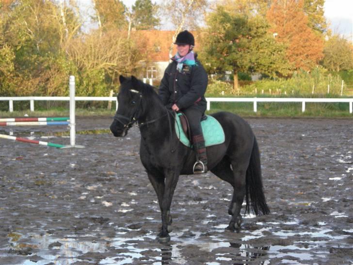 Stormy og Maxi billede 6