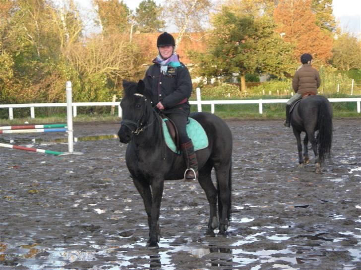 Stormy og Maxi billede 7