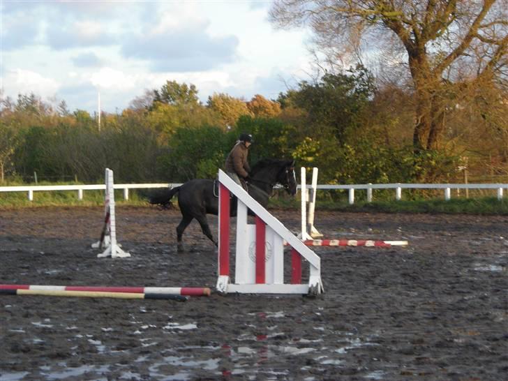 Stormy og Maxi billede 8