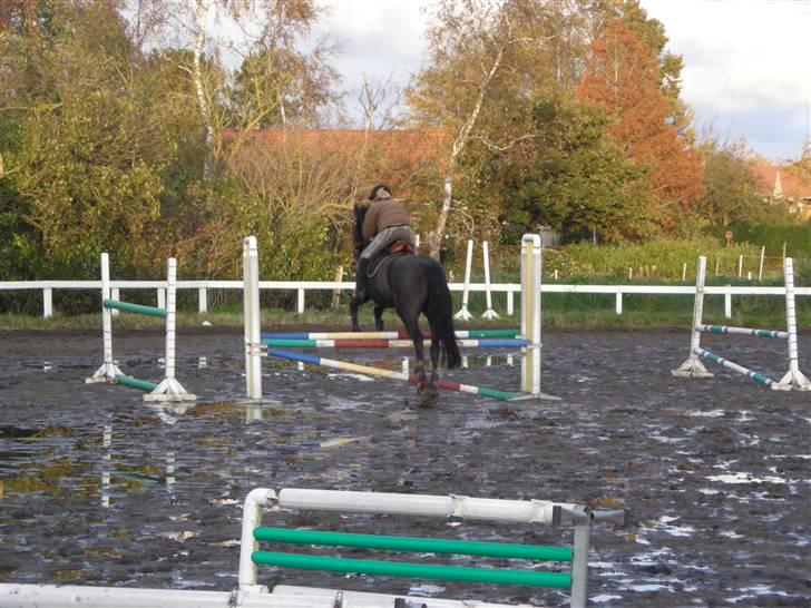 Stormy og Maxi billede 9