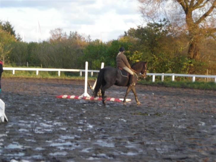 Stormy og Maxi billede 11