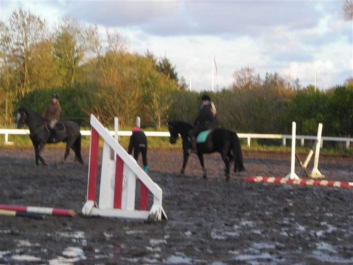 Stormy og Maxi billede 12