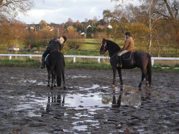 Stormy og Maxi billede 13