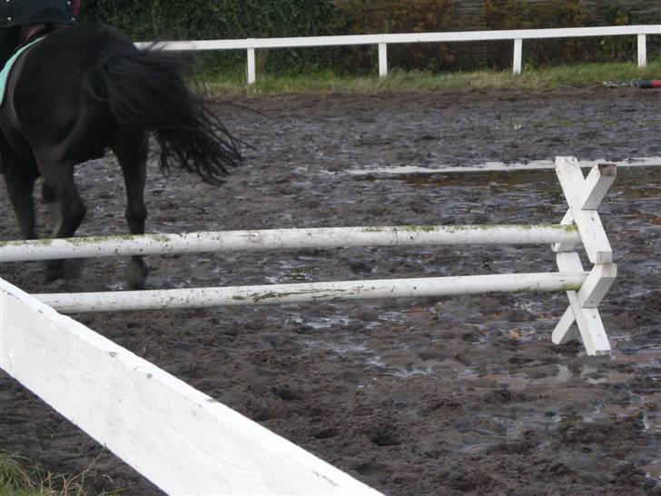 Stormy og Maxi billede 14