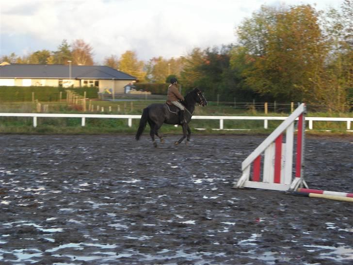 Stormy og Maxi billede 15