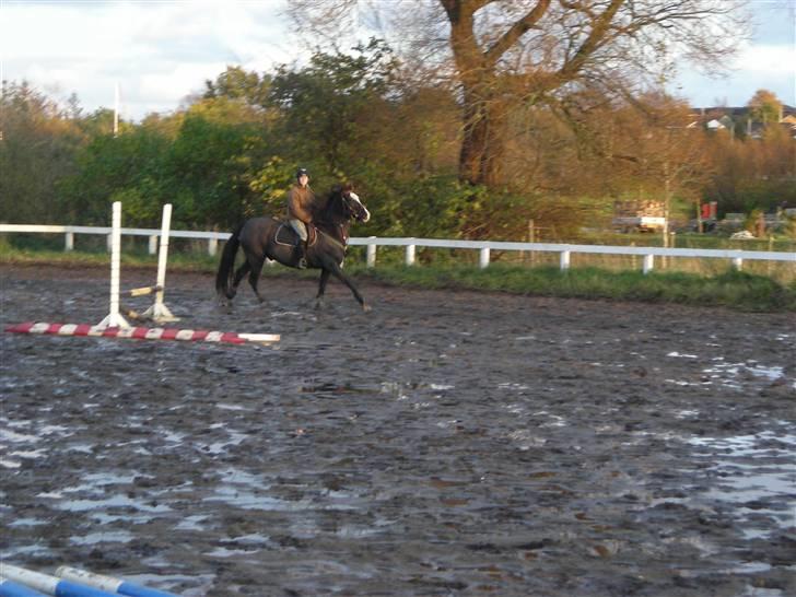 Stormy og Maxi billede 16