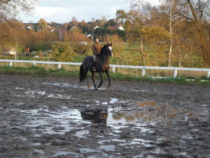 Stormy og Maxi billede 17