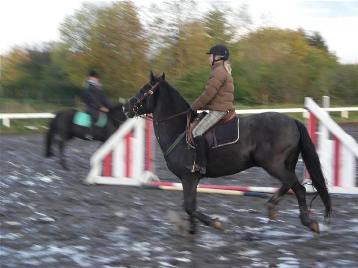 Stormy og Maxi billede 18