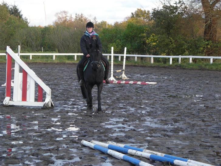 Stormy og Maxi billede 19