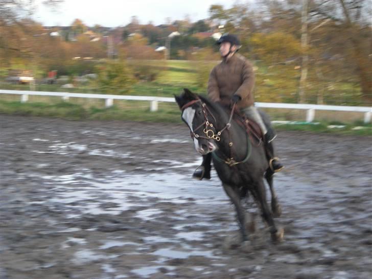 Stormy og Maxi billede 20