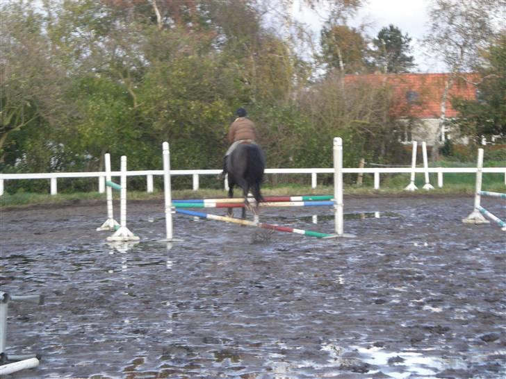 Stormy og Maxi billede 21