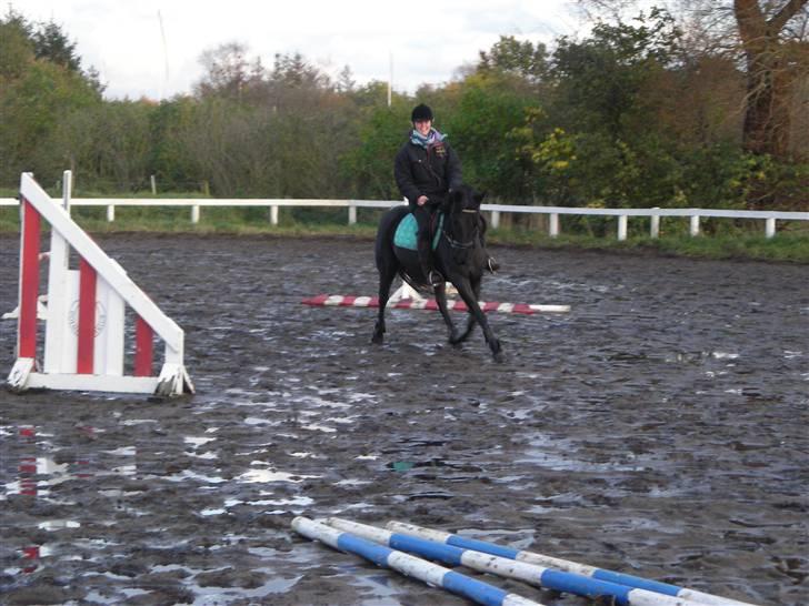 Stormy og Maxi billede 22