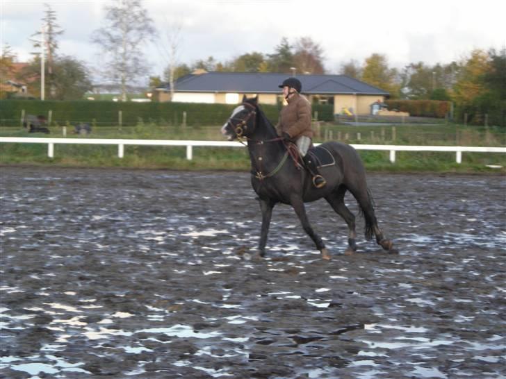 Stormy og Maxi billede 24