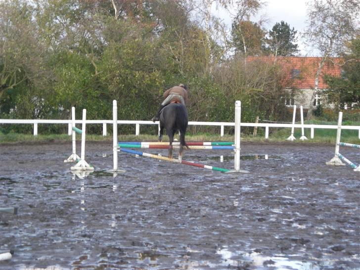 Stormy og Maxi billede 25