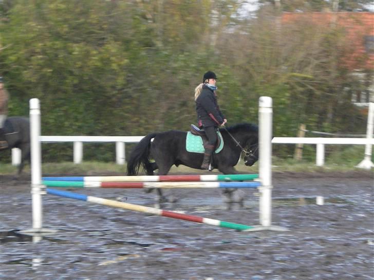 Stormy og Maxi billede 26