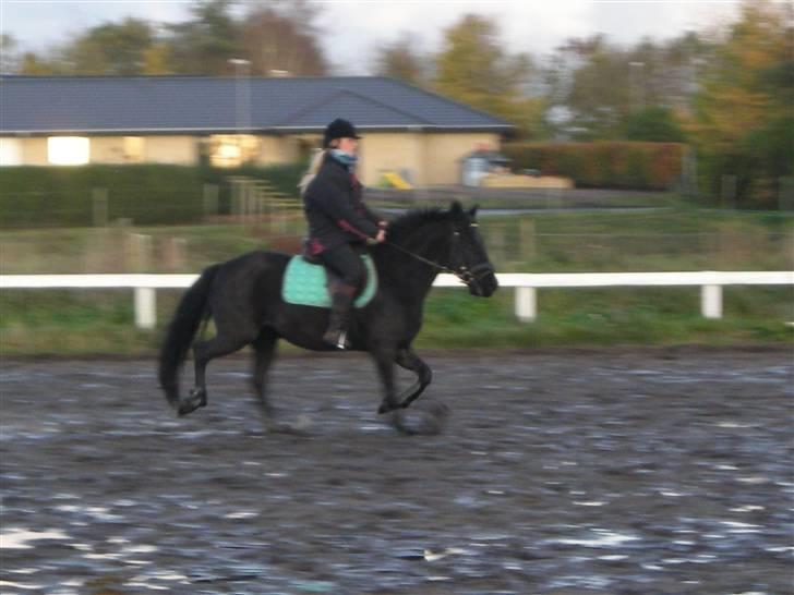 Stormy og Maxi billede 27