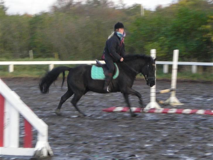 Stormy og Maxi billede 28