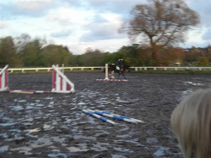 Stormy og Maxi billede 30