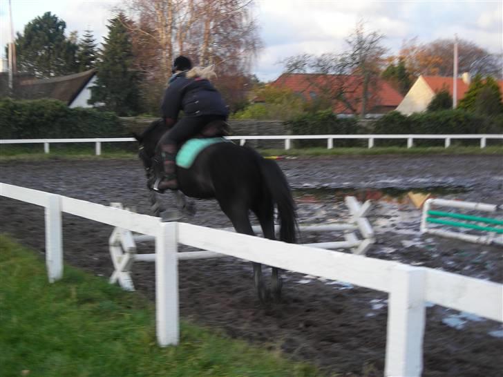 Stormy og Maxi billede 31