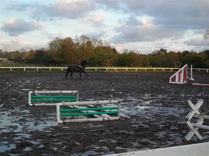 Stormy og Maxi billede 32