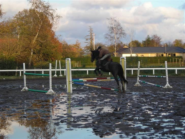 Stormy og Maxi billede 33