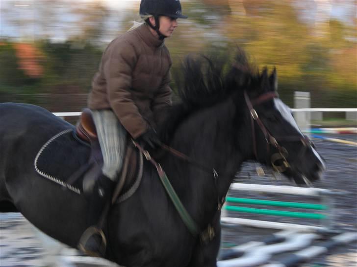 Stormy og Maxi billede 34