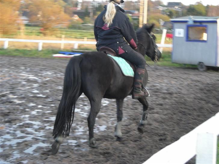 Stormy og Maxi billede 35