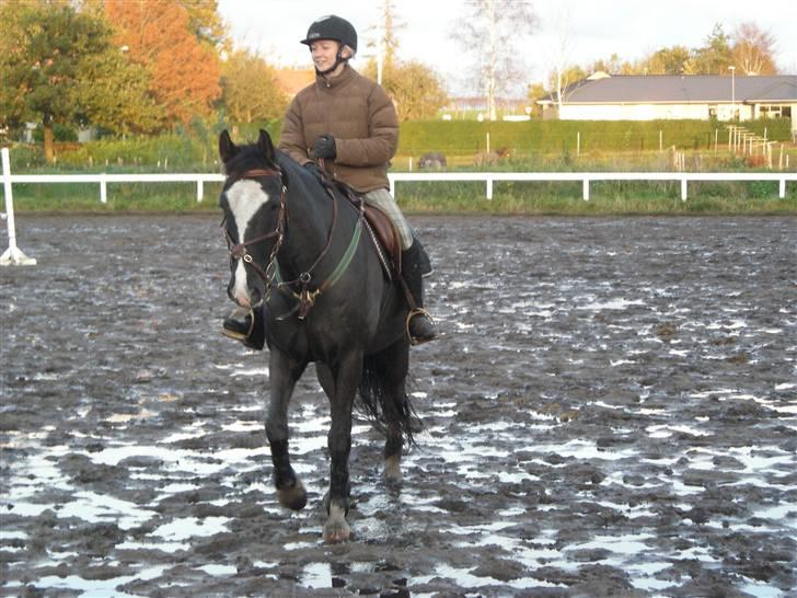 Stormy og Maxi billede 36