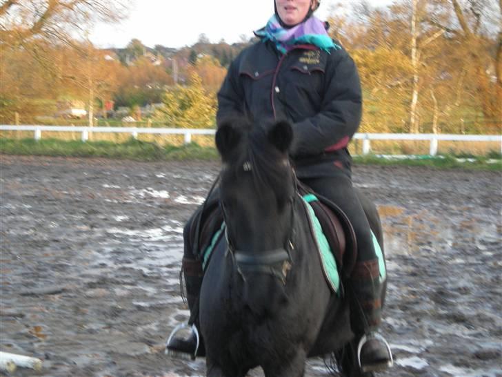 Stormy og Maxi billede 37