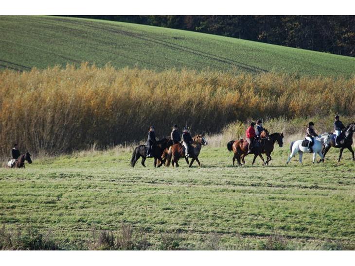 {{currentPhoto.altText}} billede {{currentPhoto.number}}