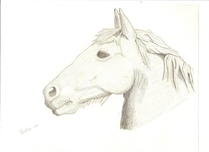 Tegninger(se dem) billede 17