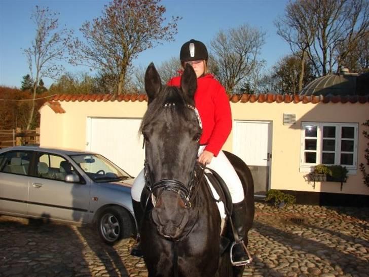 Jagt, skaarupgård sindal 2008 billede 3